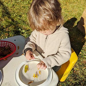 Orchard Park Nursery School