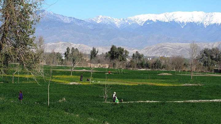 Monthly Daycare Cost and Fee Structure in Jalalabad, Nangarhar Province, Afghanistan