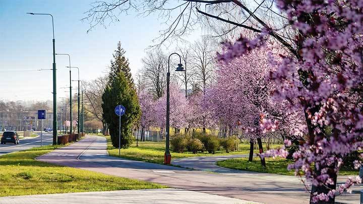 Daycare Cost and Fee Structure in Sosnowiec, Silesian Voivodeship, Poland