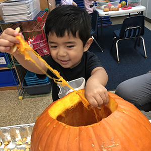 Pali-Preschool-Pumpkin.jpg